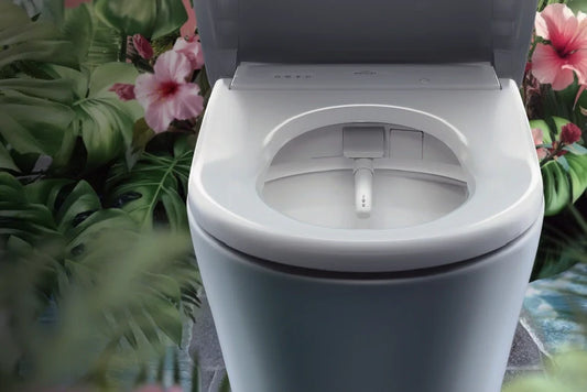 The Future of Hygiene: Inside the World of Smart Toilets