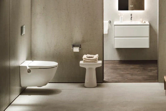 Why Wall-Mounted Toilets Are the Future of Bathroom Design?