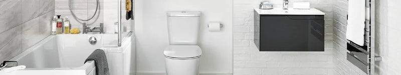 Bathroom - Toilet - One-Piece Toilets