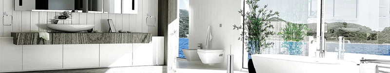 Toilet Seats & Parts