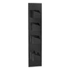 Carimali Dside 1 3-Shut-Off DSD4202EST Thermostatic Shower Trim