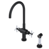 Rubinet Two Handle Single Hole Kitchen Set with LaSalle Spout with Hand Spray Matt Black
