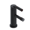 Rubinet Single Control Bidet Fitting (less drain) Matt Black