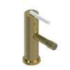 Rubinet Single Control Bidet Fitting (less drain) Natural Brass