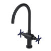 Rubinet Two Handle Single Hole Kitchen Set with LaSalle Spout Matt Black