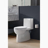 Reach® One-piece compact elongated toilet with skirted trapway, 1.28 gpf - Golzar Home