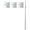 Grohe 59" Metal Shower Hose