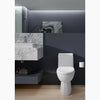 Reach® One-piece compact elongated toilet with skirted trapway, 1.28 gpf - Golzar Home