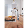 Grohe Zedra Single-Handle Beverage Faucet (Cold Water Only) With Filtration 1.75 Gpm - Golzar Home