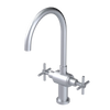Rubinet Two Handle Single Hole Kitchen Set with LaSalle Spout Satin Chrome