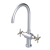 Rubinet Two Handle Single Hole Kitchen Set with LaSalle Spout Satin Chrome