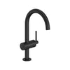 Grohe Atrio New Single Hole Single-Handle L-Size Bathroom Faucet, 1.2 GPM