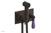 JAMESTOWN - Wall Mounted Bidet - Lever Handle with "Purple" Accents 165-65