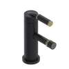 Rubinet Single Control Bidet Fitting (less drain) Matt Black