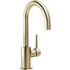 Delta True Limited Bar Faucet