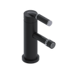 Rubinet Single Control Bidet Fitting (less drain) Matt Black