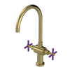 Rubinet Two Handle Single Hole Kitchen Set with LaSalle Spout Natural Brass