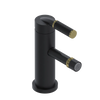 Rubinet Single Control Bidet Fitting (less drain) Matt Black