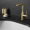 Grohe Essence New Single Hole Single-Handle L-Size Bathroom Faucet 4.5 L/Min (1.2 Gpm)