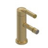 Rubinet Single Control Bidet Fitting (less drain) Satin Gold