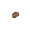 Baril Round 6" 5-spray anti-limestone shower head