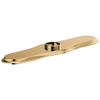 Brizo Optional Escutcheon