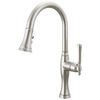 Brizo Pull Down Kitchen Faucet