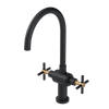 Rubinet Two Handle Single Hole Kitchen Set with LaSalle Spout Matt Black