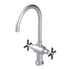 Rubinet Two Handle Single Hole Kitchen Set with LaSalle Spout Satin Chrome