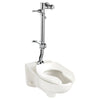 American Standard Ultima Manual Flush Valve With Bedpan Washer Assembly, Offset Tube, 1.28 gpf/4.8 Lpf