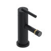 Rubinet Single Control Bidet Fitting (less drain) Matt Black