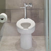 American Standard Ultima Manual Toilet Flush Valve, Piston-Type, 1.6 gpf/6.0 Lpf