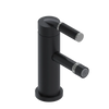 Rubinet Single Control Bidet Fitting (less drain) Matt Black