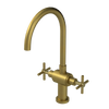 Rubinet Two Handle Single Hole Kitchen Set with LaSalle Spout Antique Brass Matt