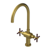 Rubinet Two Handle Single Hole Kitchen Set with LaSalle Spout Antique Brass Matt