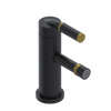 Rubinet Single Control Bidet Fitting (less drain) Matt Black