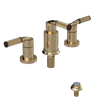 Rubinet Bidet Fitting with Spray, Diverter, and Vacum Breaker (Less Drain) Gold