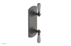 JAMESTOWN - Thermostatic Valve with Volume Control or Diverter with "Grey" Accents 4-738
