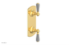 JAMESTOWN - Thermostatic Valve with Volume Control or Diverter with "Grey" Accents 4-738