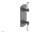 JAMESTOWN - Thermostatic Valve with Volume Control or Diverter with "White" Accents 4-738