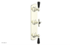JAMESTOWN - Thermostatic Valve with Two Volume Control with "Black" Accents 4-740