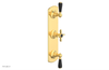 JAMESTOWN - Thermostatic Valve with Two Volume Control with "Black" Accents 4-740