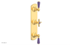 JAMESTOWN - Thermostatic Valve with Two Volume Control with "Purple" Accents 4-740