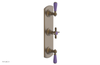 JAMESTOWN - Thermostatic Valve with Two Volume Control with "Purple" Accents 4-740