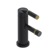 Rubinet Single Control Bidet Fitting (less drain) Matt Black