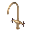 Rubinet Two Handle Single Hole Kitchen Set with LaSalle Spout Satin Gold
