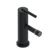 Rubinet Single Control Bidet Fitting (less drain) Matt Black