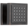 Delta Surface Mount Body In Lumicoat Shower Body Spray – With Body Jets
