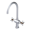 Rubinet Two Handle Single Hole Kitchen Set with LaSalle Spout Satin Chrome