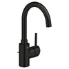 Concetto™ Single Hole Single-Handle L-Size Bathroom Faucet 1.2 Gpm - Golzar Home